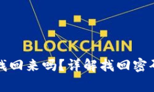 TP钱包密码忘了能找回来吗？详解找回密码的步骤与注意事项