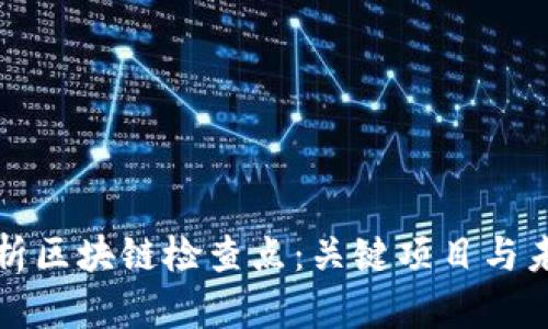 深度解析区块链检查点：关键项目与未来发展
