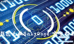 如何通过TP钱包兑换BabyDoge：完整指南与注意事项