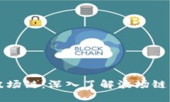 TP钱包与波场链：深入了解波场链的通道功能