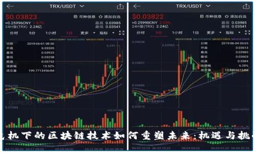 危机下的区块链技术如何重塑未来：机遇与挑战