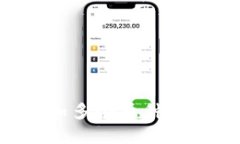 如何在TP钱包中添加多个币种：详细攻略与实用技