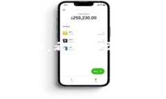 TP钱包质押DOT的要求：最低质押数量及操作指南