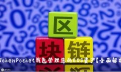 为什么选择TokenPocket钱包管理您的EOS资产？全面解