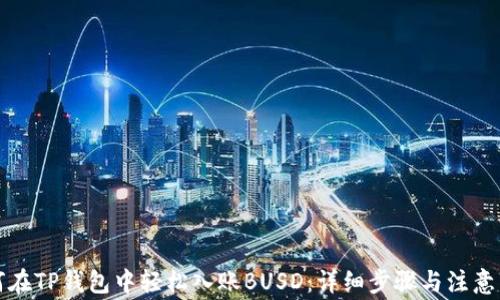 
如何在TP钱包中轻松入账BUSD：详细步骤与注意事项