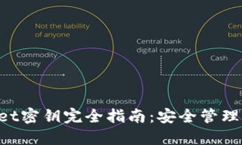 TokenPocket密钥完全指南：安全管理与使用技巧