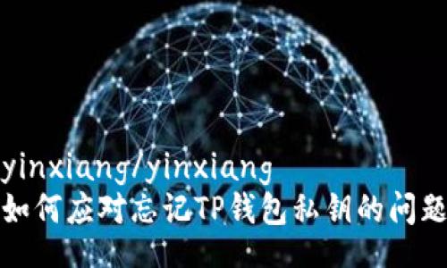 yinxiang/yinxiang
如何应对忘记TP钱包私钥的问题