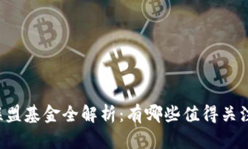 区块链产业联盟基金全解析：有哪些值得关注的投资机会？