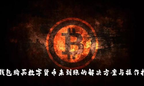 TP钱包购买数字货币未到账的解决方案与操作指南