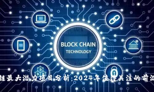 区块链最大潜力项目分析：2024年值得关注的前沿趋势