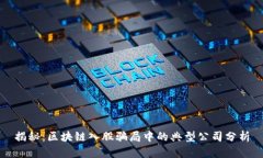 揭秘：区块链入股骗局中的典型公司分析