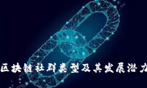 德州区块链社群类型及其发展潜力分析
