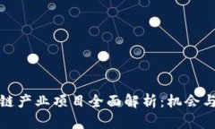 深圳区块链产业项目全面解析：机会与挑战并存