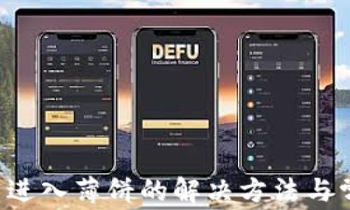 
t P钱包无法进入薄饼的解决方法与常见问题解析