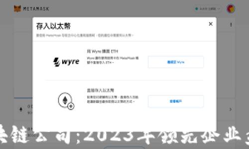 
加仓的区块链公司：2023年领先企业盘点与分析