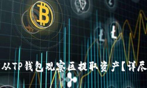 如何从TP钱包观察区提取资产？详尽指南