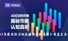 2023年最具潜力的区块链科技有限公司盘点与分析