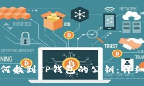 : 如何找到TP钱包的公钥：详细指南
