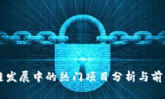 区块链发展中的热门项目分析与前景展望