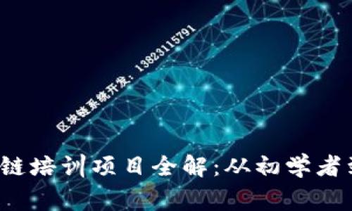 2023年热门区块链培训项目全解：从初学者到专家的全面指南