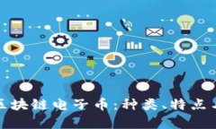 全面解析区块链电子币：种类、特点与未来趋势