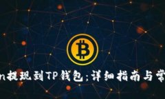 如何将Mixin提现到TP钱包：详细指南与常见问题解