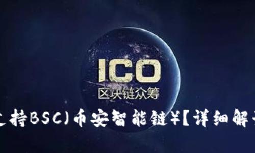 TP钱包是否支持BSC（币安智能链）？详细解读与使用指南