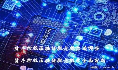 贤丰控股区块链概念股票有哪些

贤丰控股区块链概念股票全面分析